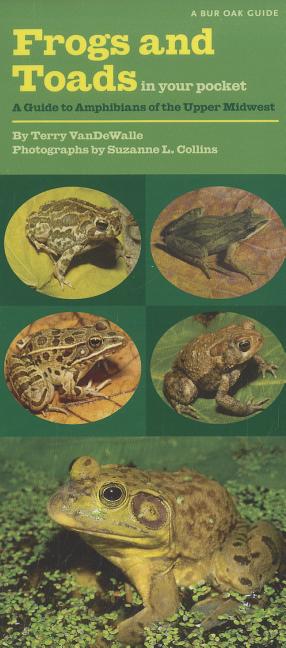 Frogs and Toads in Your Pocket: A Guide to Amphibians of the Upper Midwest - Ingram