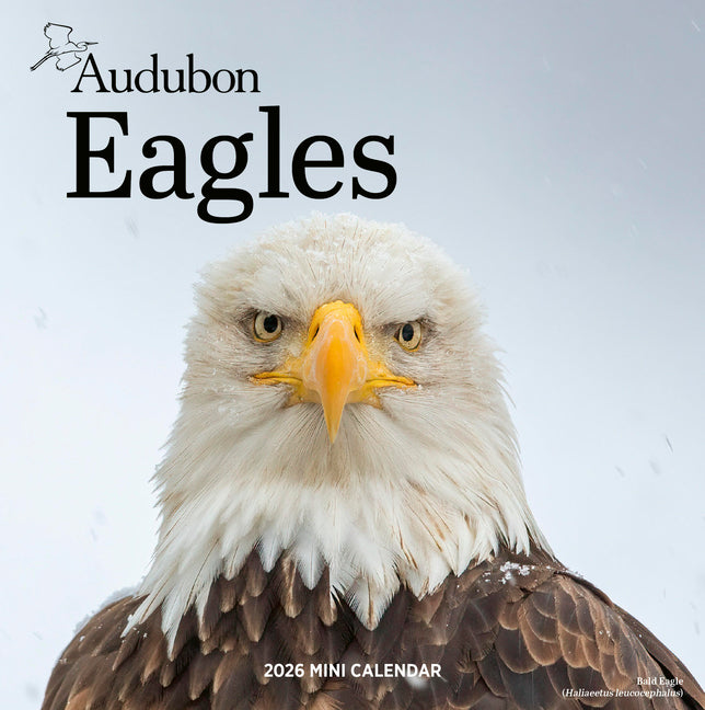 Audubon Eagles Mini Wall Calendar 2026 - Ingram